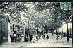 carte postale ancienne champignolles avenue du grand chêne