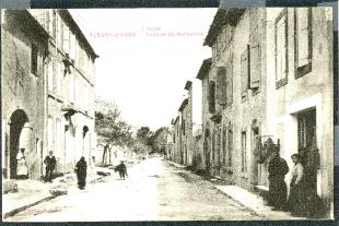 carte postale ancienne fleury daude avenue de narbonne